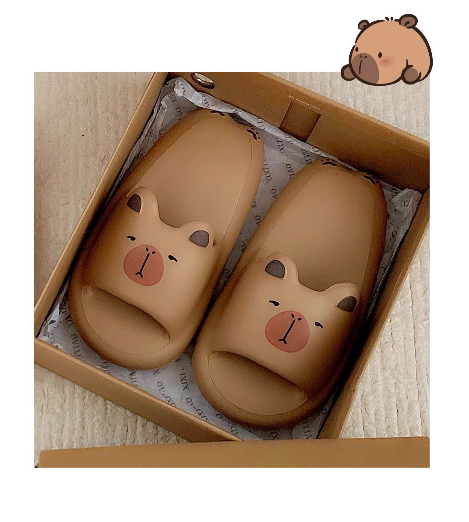 DÉP LÊ QUAI NGANG CAPYBARA