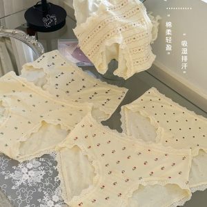 SET 5 QUẦN CHIP VIỀN REN THOÁNG KHÍ CHO NỮ