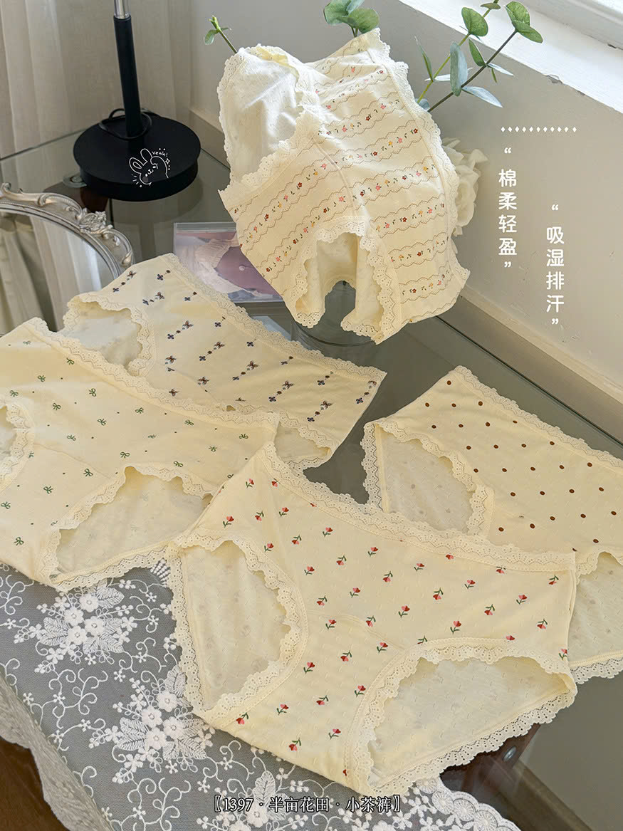 SET 5 QUẦN CHIP VIỀN REN THOÁNG KHÍ CHO NỮ