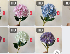 COMBO 5 BÔNG HOA CẨM TÚ CẦU